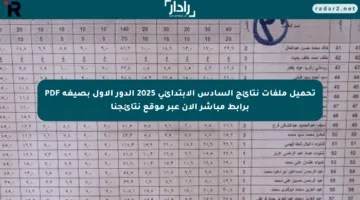 تحميل ملفات نتائج السادس الابتدائي 2025 الدور الأول بصيغة PDF برابط مباشر الآن عبر موقع نتائجنا